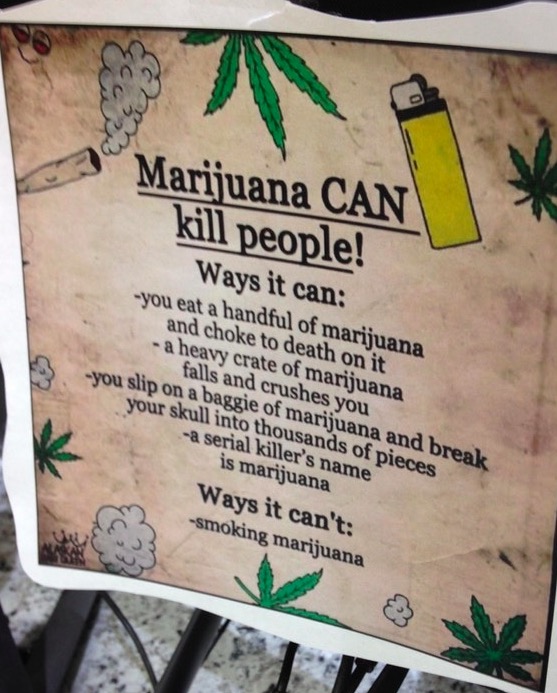 tree - Marijuana Can kill people! Ways it can you eat a handful of marijuana and choke to death on it a heavy crate of marijuana falls and crushes you you slip on a baggie of marijuana and break your skull into thousands of pieces a serial killer's name i