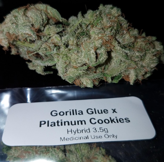 gorilla glue cookies - Gorilla Glue x Platinum Cookies Hybrid 3.5g Medicinal Use Only