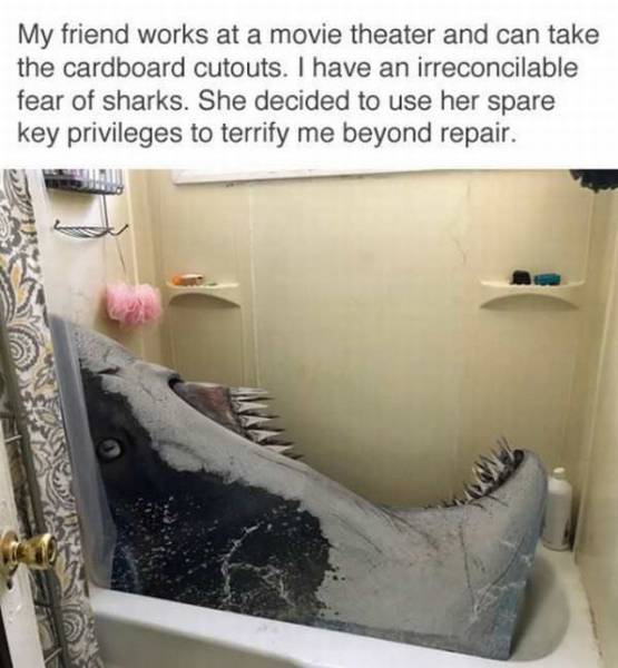 shark cutout in shower - My friend works at a movie theater and can take the cardboard cutouts. I have an irreconcilable fear of sharks. She decided to use her spare key privileges to terrify me beyond repair.