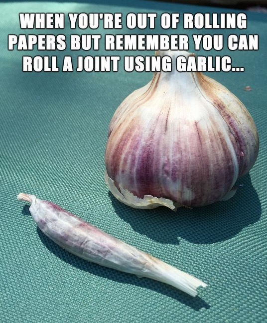 garlic - When You'Re Out Of Rolling Papers But Remember You Can Roll A Joint Using Garlic...