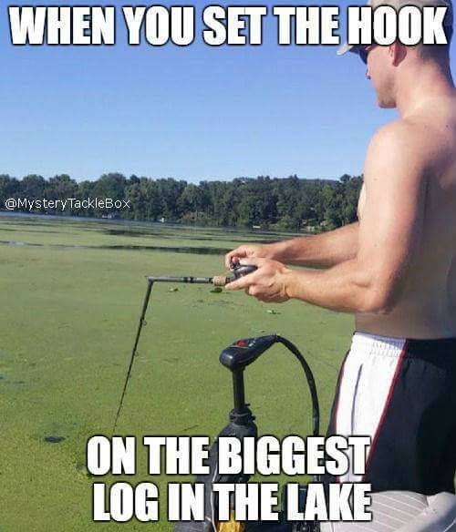 mystery tackle box memes - When You Set The Hook TackleBox On The Biggest Log In The Lake