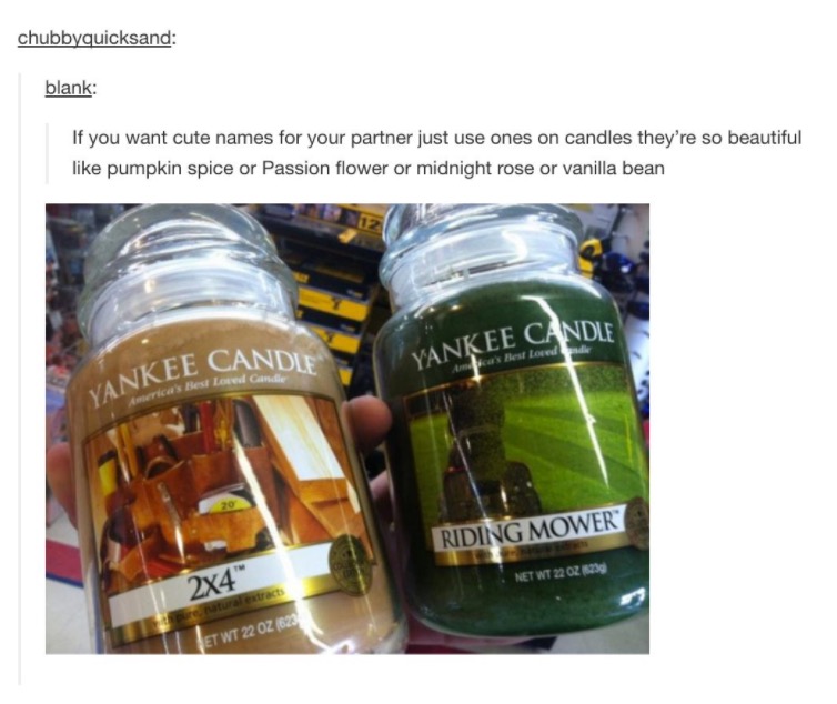 if you want cute names - chubbyquicksand blank If you want cute names for your partner just use ones on candles they're so beautiful pumpkin spice or Passion flower or midnight rose or vanilla bean Fe Candle Yankee Can sai theat forate Ankee Candle Riding