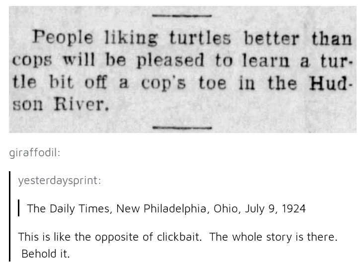 document - People liking turtles better than cops will be pleased to learn a tur. tle bit off a cop's toe in the Hud. son River. giraffodil yesterdaysprint | The Daily Times, New Philadelphia, Ohio, This is the opposite of clickbait. The whole story is th