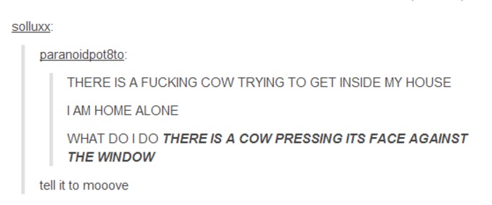 document - solluxx paranoidpotto There Is A Fucking Cow Trying To Get Inside My House I Am Home Alone What Do I Do There Is A Cow Pressing Its Face Against The Window tell it to mooove