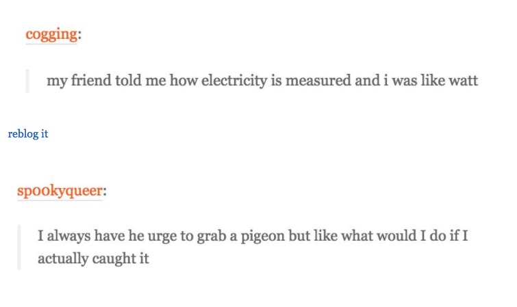 angle - cogging my friend told me how electricity is measured and i was watt reblog it spookyqueer I always have he urge to grab a pigeon but what would I do if I actually caught it