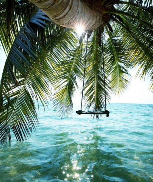 sea swing bahamas