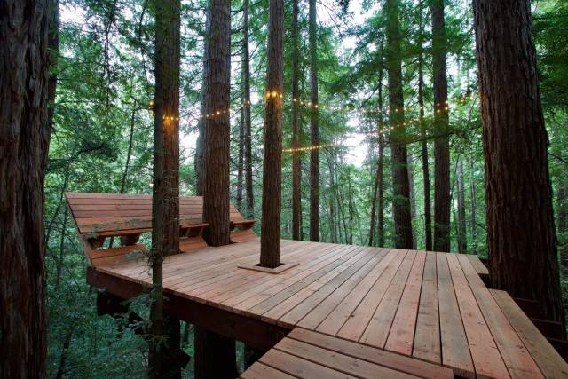 deck built into trees