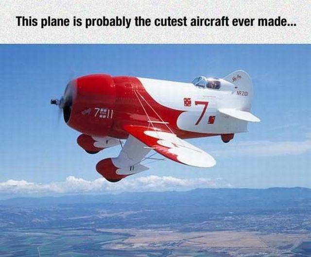 fantasy of flight - This plane is probably the cutest aircraft ever made...