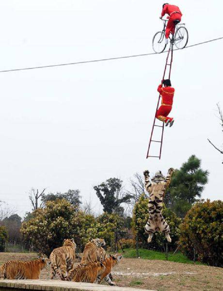 things you can only see in china