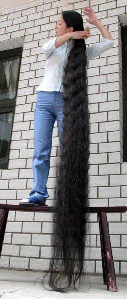 longest hair in the world - H