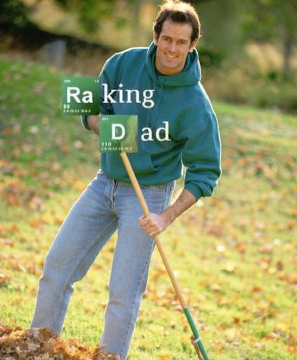 raking dad