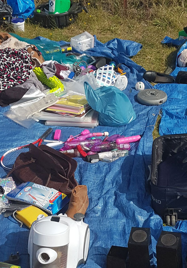 Picnic spread with a pile of adult toys in the middle