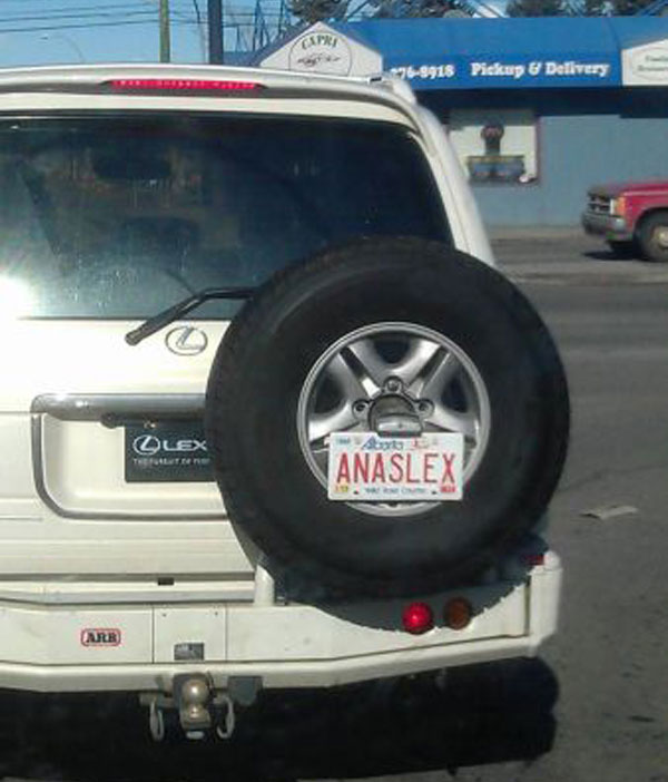 Funny vanity plates that say Anaslex
