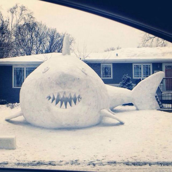 Frozen shark made from the snow.