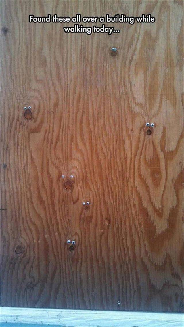 hardwood - Found these all over a building while walking today...