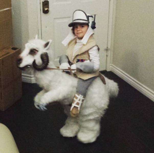 star wars tauntaun costume