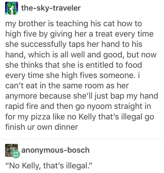 no kelly that's illegal - Betheskytraveler my brother is teaching his cat how to high five by giving her a treat every time she successfully taps her hand to his hand, which is all well and good, but now she thinks that she is entitled to food every time 