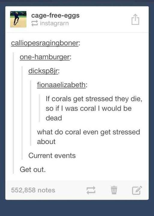 screenshot - cagefreeeggs instagrarn calliopesragingboner onehamburger dicksp8ir fionaaelizabeth If corals get stressed they die, so if I was coral I would be dead what do coral even get stressed about Current events Get out. 552,858 notes