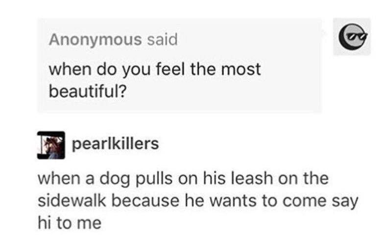 funny tumblr posts about phones - Anonymous said when do you feel the most beautiful? pearlkillers when a dog pulls on his leash on the sidewalk because he wants to come say hi to me