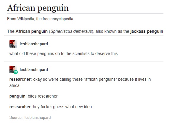 tumblr - document - African penguin From Wikipedia, the free encyclopedia The African penguin Spheniscus demersus, also known as the jackass penguin lesbianshepard what did these penguins do to the scientists to deserve this lesbianshepard researcher Okay