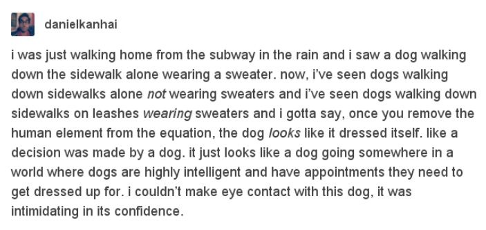 tumblr - document - danielkanhai i was just walking home from the subway in the rain and i saw a dog walking down the sidewalk alone wearing a sweater. now, i've seen dogs walking down sidewalks alone not wearing sweaters and i've seen dogs walking down s