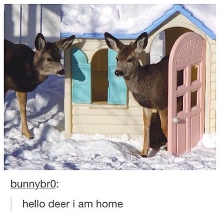 tumblr - alastor hazbin hotel - bunnybro hello deer i am home