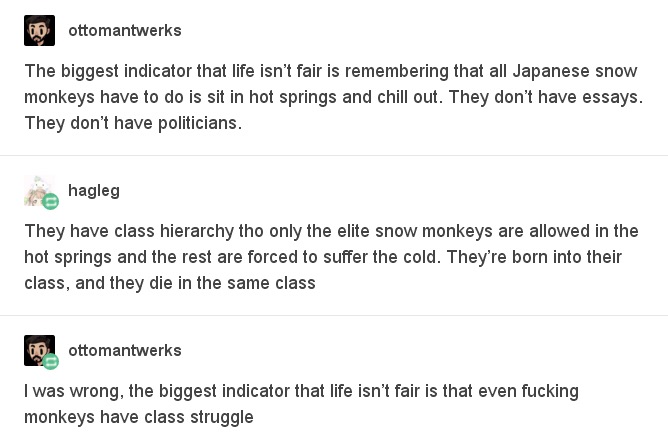 tumblr - life isn t fair - 00 ottomantwerks The biggest indicator that life isn't fair is remembering that all Japanese snow monkeys have to do is sit in hot springs and chill out. They don't have essays. They don't have politicians. Behagleg They have cl