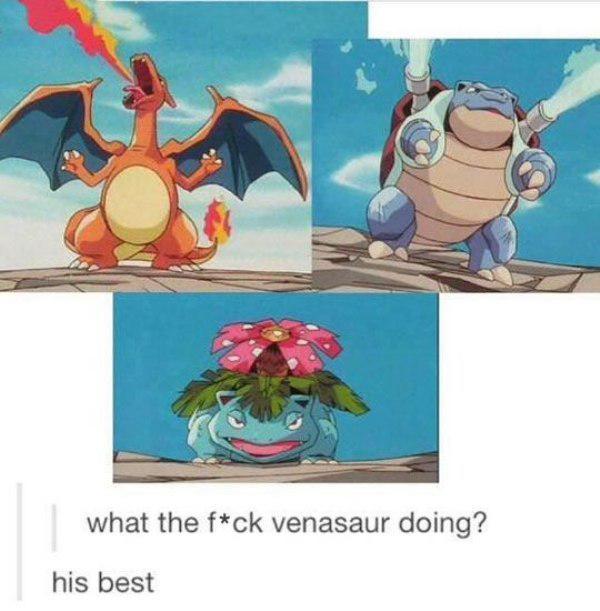 tumblr - what's venusaur doing his best - what the fck venasaur doing? his best