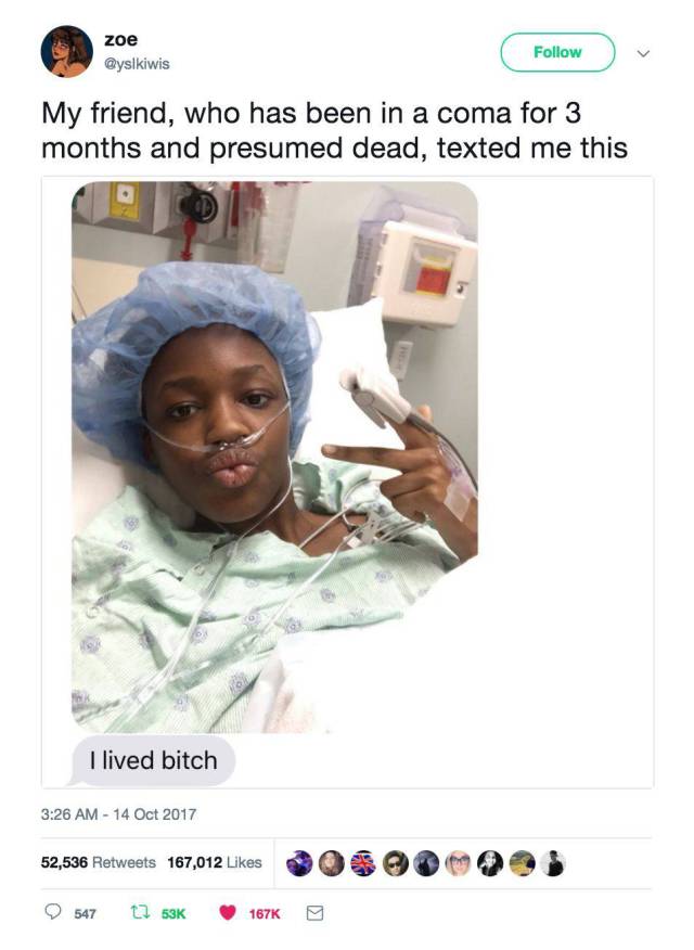 lived bitch meme - zoe My friend, who has been in a coma for 3 months and presumed dead, texted me this I lived bitch 0 9 52,536 167,012 20 547 11 B