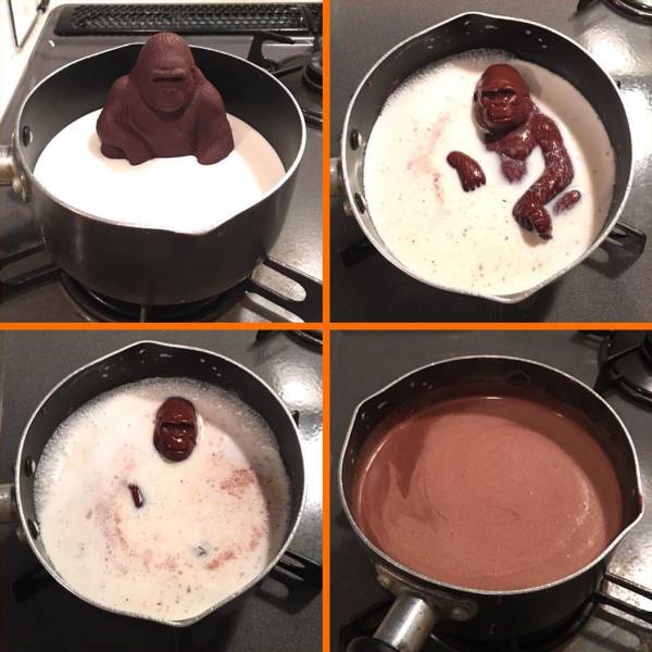 chocolate gorilla meme