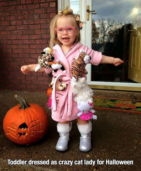 didn t choose the cat lady life - Toddler dressed as crazy cat lady for Halloween