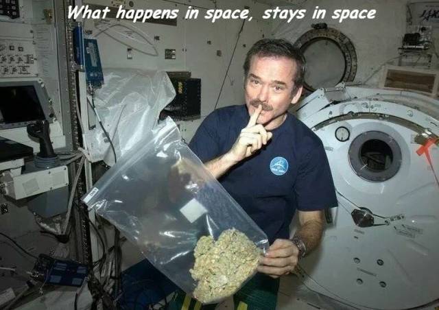 chris hadfield weed - What happens in space, stays in space