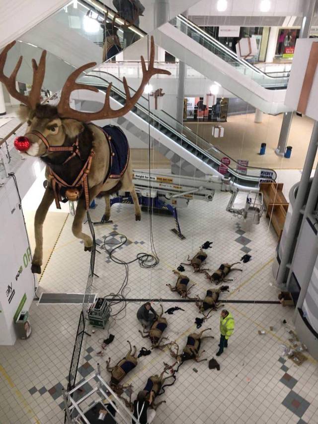 cool all the other reindeer used to laugh