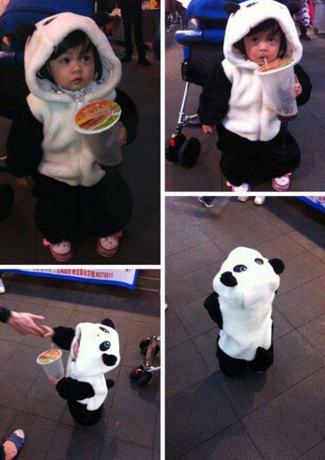 asian baby panda