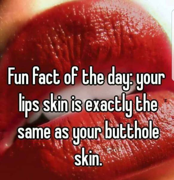 random pic funny fun fact of the day - Fun fact of the day, your lips skin is exactly the same as your butthole skin.