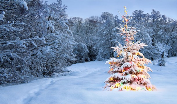 During the Christmas of 2010, the Colombian government covered jungle trees with lights. When FARC guerrillas (terrorists) walked by, the trees lit up and banners asking them to lay down their arms became visible. 331 guerrillas re-entered society and the campaign won an award for strategic marketing excellence.