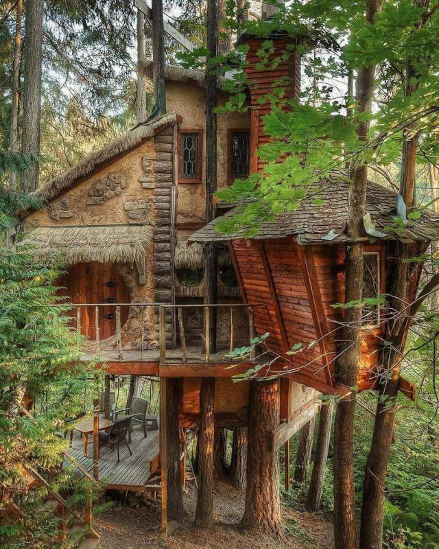fun photo seattle treehouse