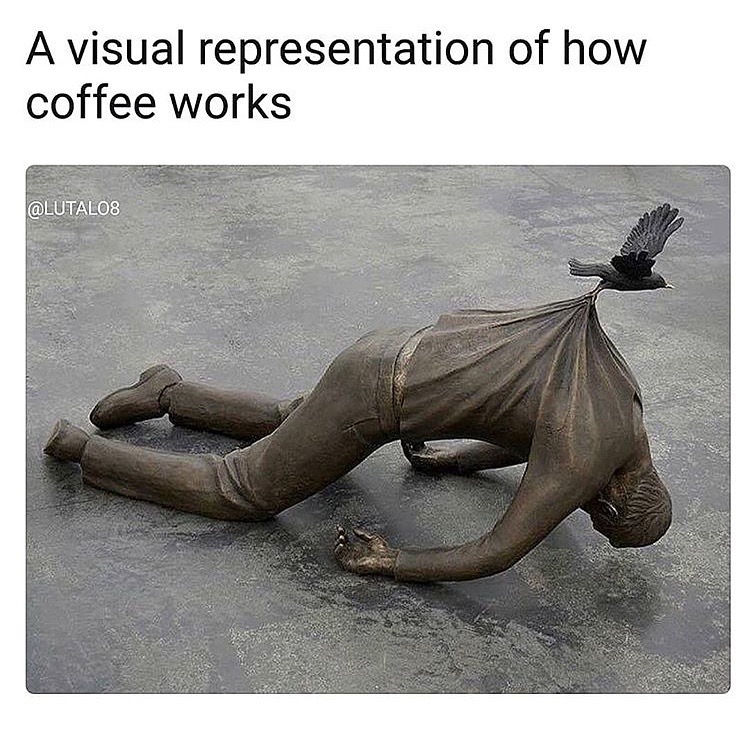 random trans ī re by fredrik raddum - A visual representation of how coffee works
