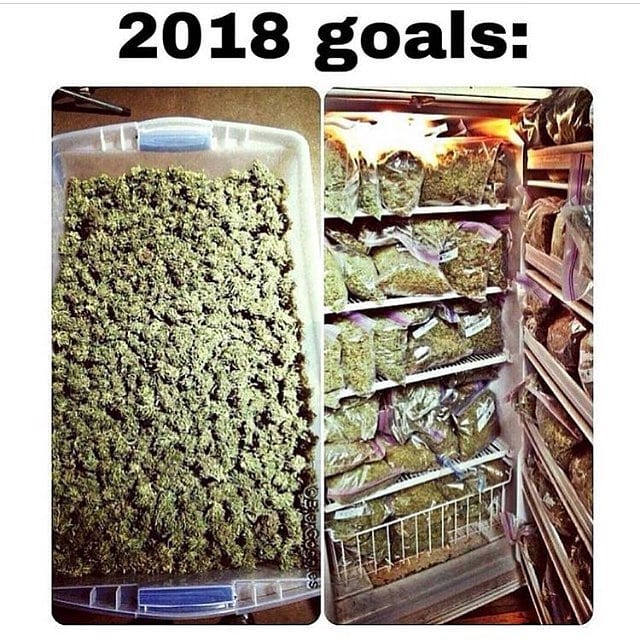 random garage full of weed - 2018 goals Bierceson