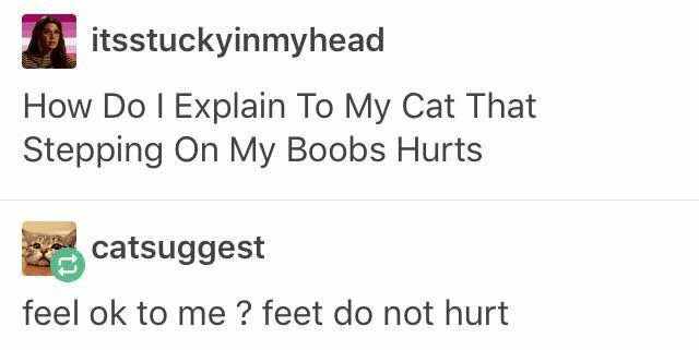 tumblr- document - itsstuckyinmyhead How Do I Explain To My Cat That Stepping On My Boobs Hurts catsuggest feel ok to me ? feet do not hurt