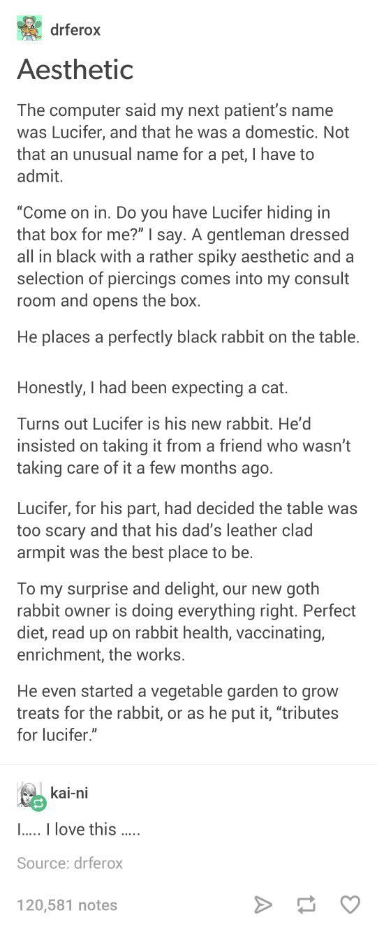 tumblr- lucifer the rabbit - drferox Aesthetic The computer said my next patient's name was Lucifer, and that he was a domestic. Not that an unusual name for a pet, I have to admit. "Come on in. Do you have Lucifer hiding in that box for me?" I say. A gen