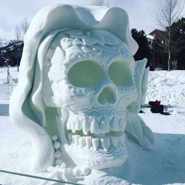 random pic skull snow