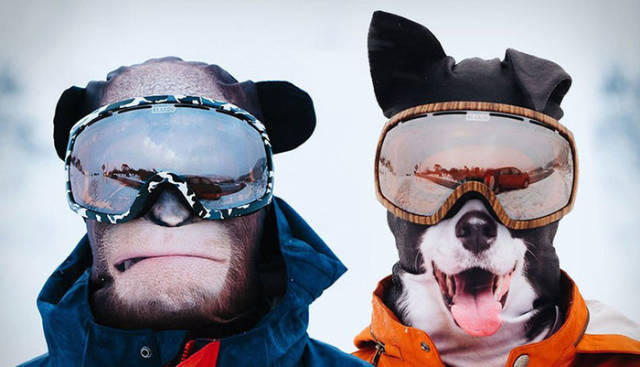 random pic animal ski mask