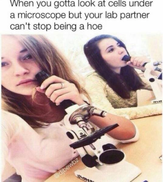 girls being hoes - When you gotta look at cells under a microscope but your lab partner can't stop being a hoe