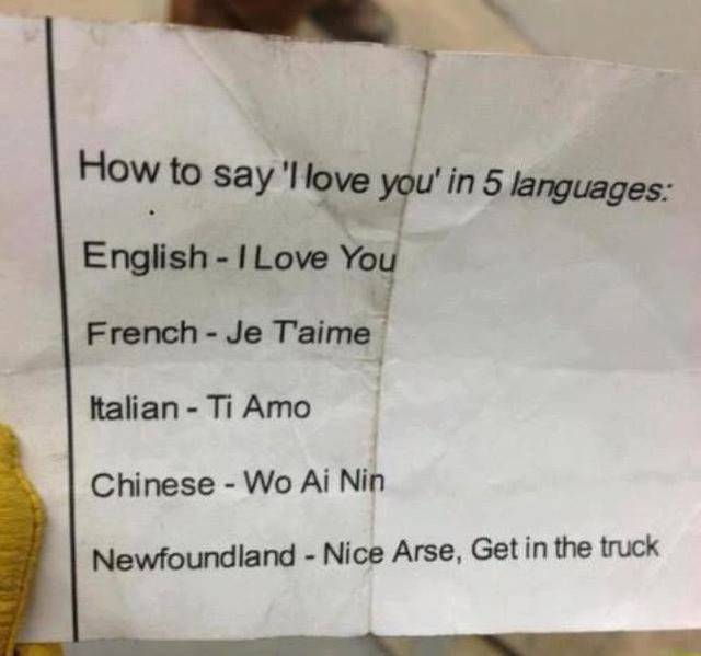 love you in 5 languages - How to say 'I love you' in 5 languages English I Love You French Je T'aime Italian Ti Amo Chinese Wo Ai Nin Newfoundland Nice Arse, Get in the truck