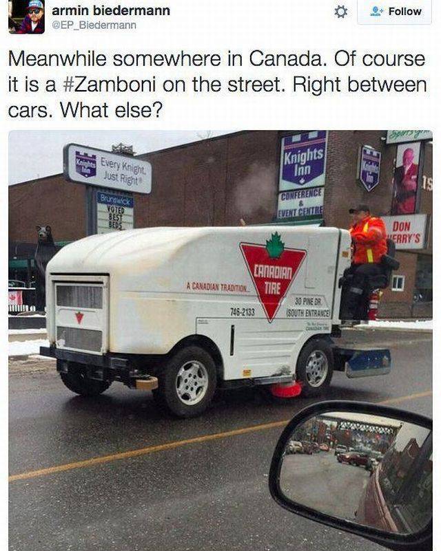 zamboni memes - armin biedermann Meanwhile somewhere in Canada. Of course it is a on the street. Right between cars. What else? Knights Every niger Just Right Inn Conference Bruck Voted Event Centre Don Srry'S A Canadian Tradition 33 Pred Souts, Entrance 