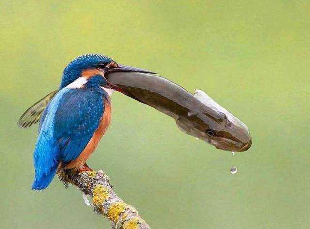 50 Most Fascinating Fun Photos To Rule The Weekend!