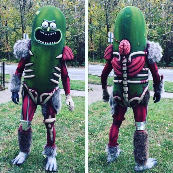 pickle rick halloween costume