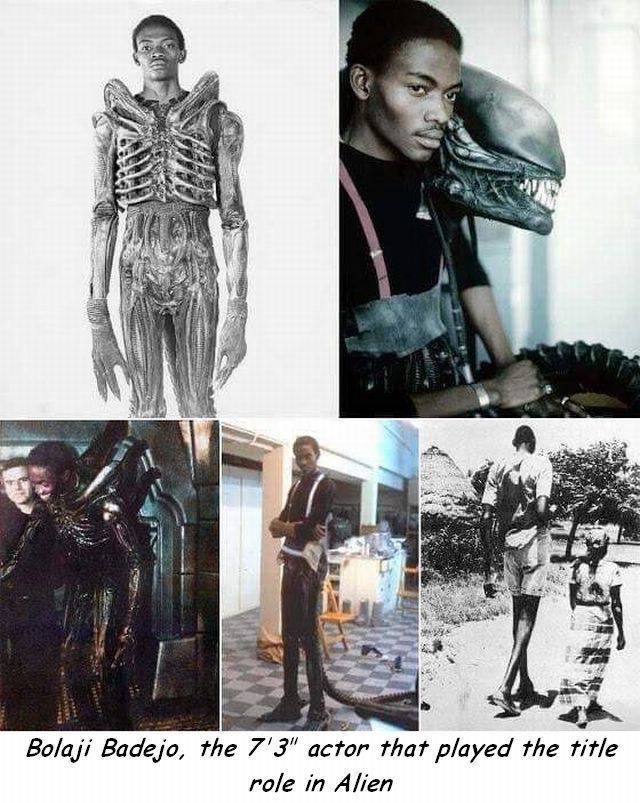 bolaji badejo - Bolaji Badejo, the 7'3" actor that played the title role in Alien
