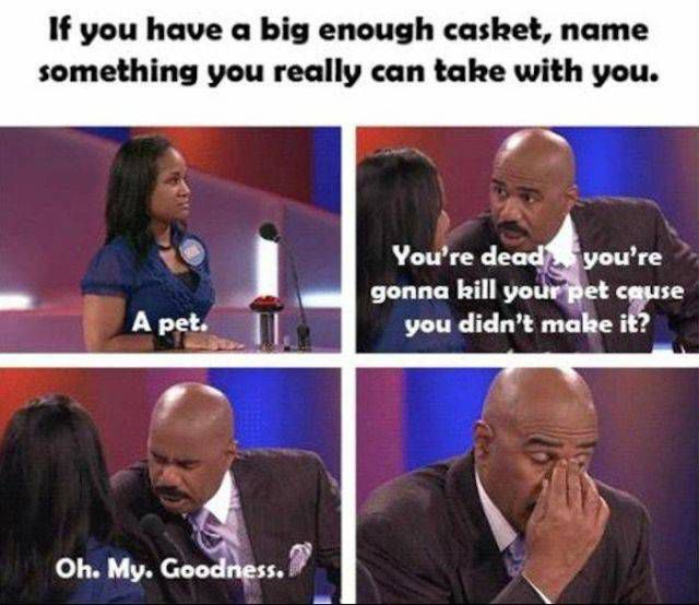 family feud steve harvey funny - If you have a big enough casket, name something you really can take with you. nough cable clith you. You're dead you're gonna kill your pet cause you didn't make it? A pet. Oh. My. Goodness.